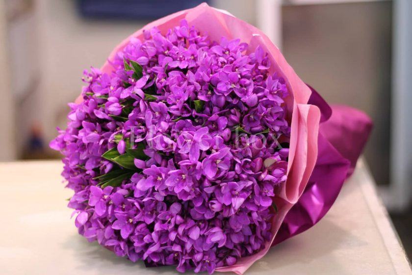 bó hoa violet