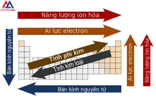 Có bao nhiêu phần tử?