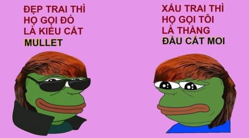 Hình ảnh meme đầu tiên được cắt thành 3