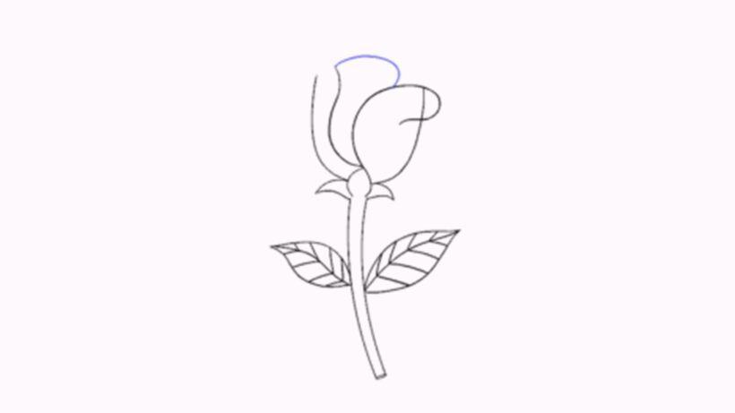 Vẽ các đường cong hình chữ C từ nhụy trở lên để tạo cánh hoa