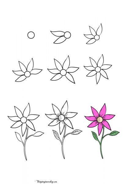 Cách vẽ hoa từng bước dễ dàng