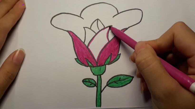Cách vẽ một bông hoa đơn giản