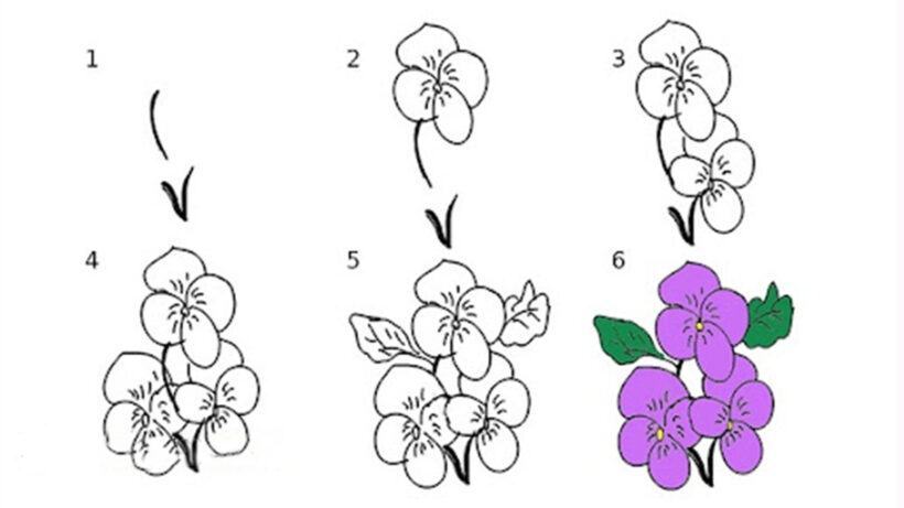 Cách vẽ hoa màu tím