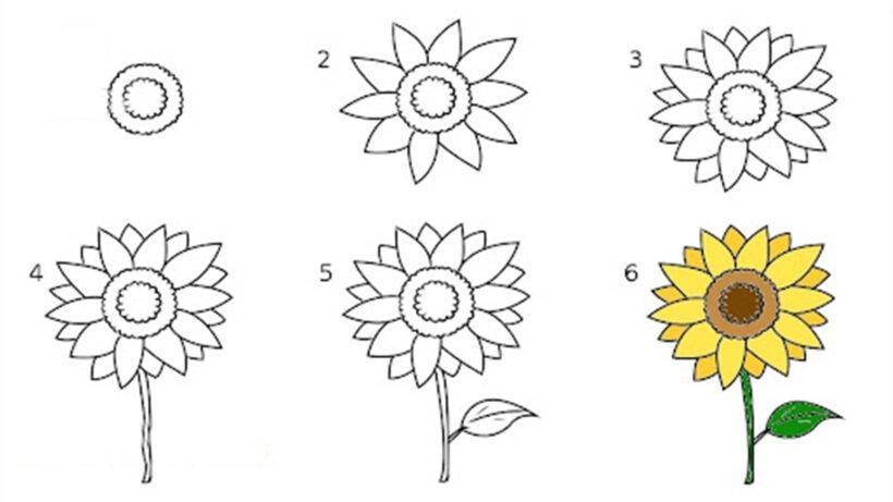 Cách vẽ hoa hướng dương