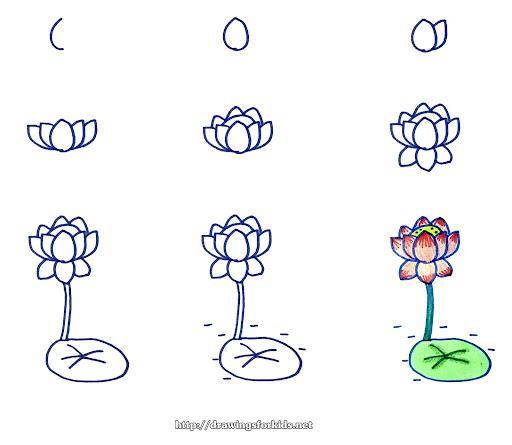 Cách vẽ hoa sen siêu đẹp