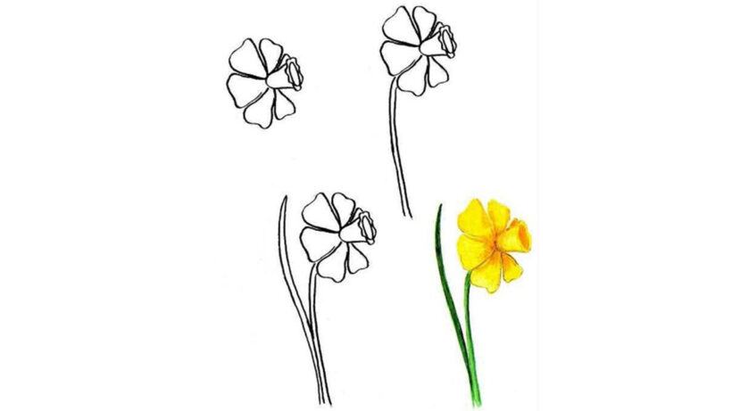 Cách vẽ bông hoa vàng đơn giản