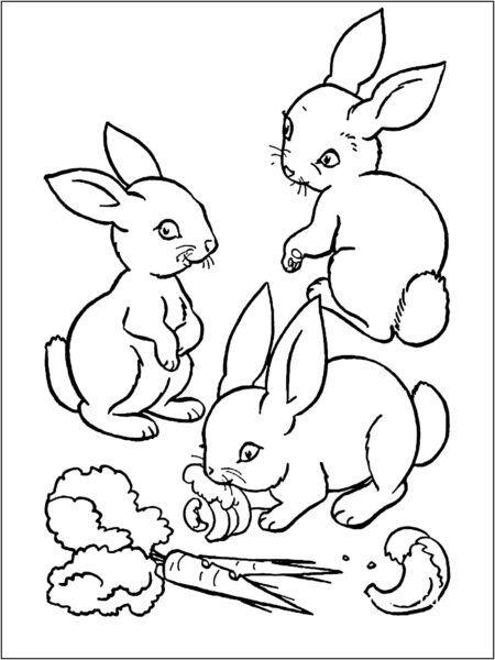 Tranh tô màu con thỏ đang chơi đùa