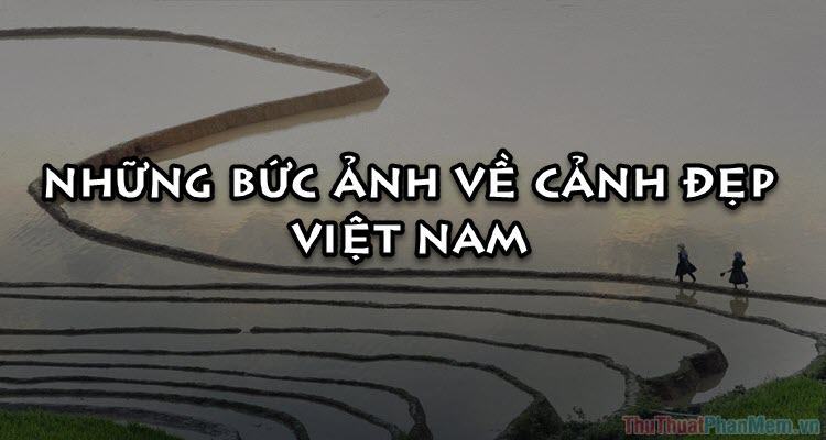 50+ Bức ảnh về cảnh đẹp Việt Nam khiến bạn kinh ngạc