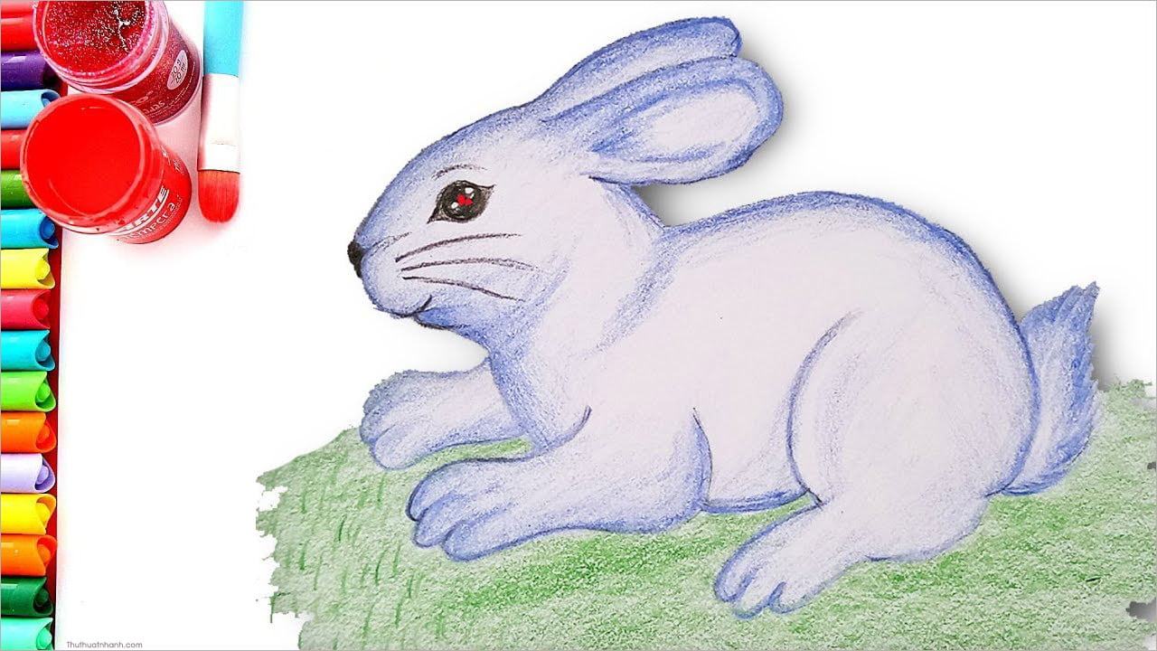 Làm thế nào để Dạy vẽ con thỏ cho trẻ em