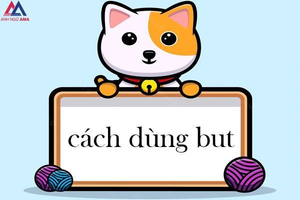 cach-dung-but