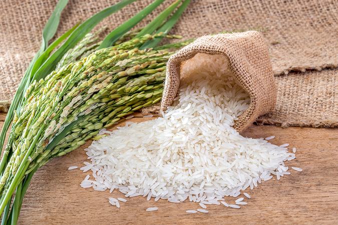 tại sao phải bảo quản gạo đúng cách 1