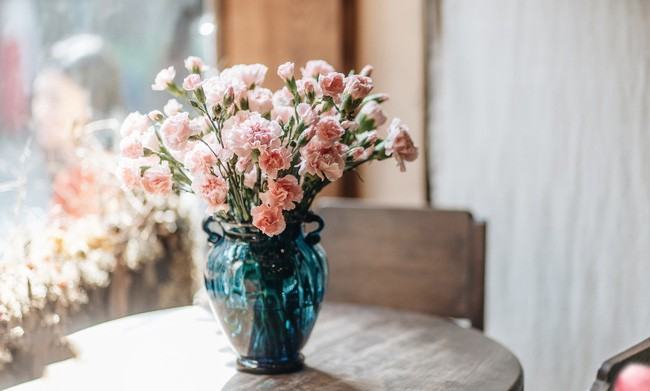Cách cắm hoa cẩm chướng đẹp đơn giản tại nhà ai nhìn cũng thích ...