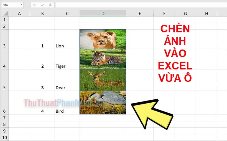 Chèn ảnh vào excel vừa ô trong Excel