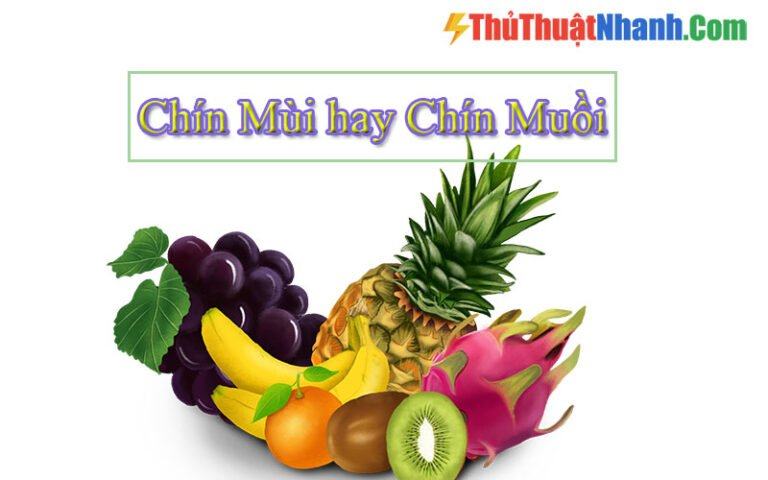 Chín MÙI Hay Chín MUỒI? Sự Nhầm Lẫn Giữa 2 Từ Này Là Gì?