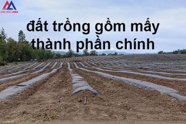 data-trong-gom-may-thanh-phan-chinh