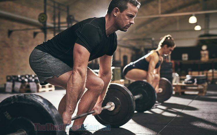 Deadlift là gì? Một số bài tập deadlift dành cho người mới bắt đầu