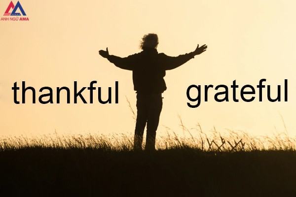 Tri ân là gì?  Biết ơn là gì?  Phân biệt giữa biết ơn và biết ơn