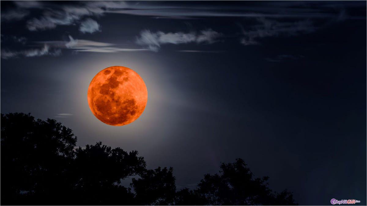 Hình ảnh trăng máu đẹp, ấn tượng nhất