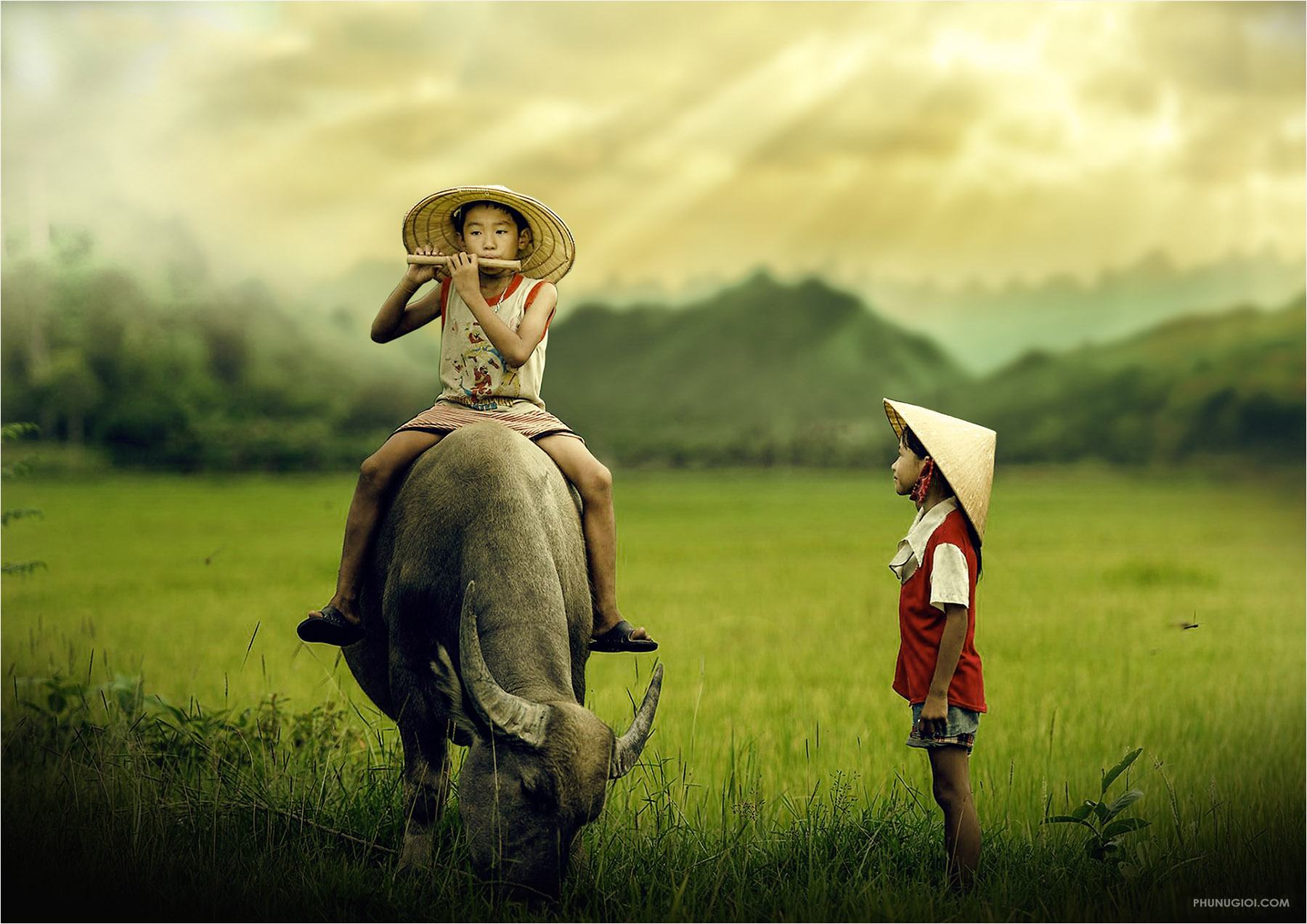 Hà Nội Thổn thức với bộ ảnh cái Tết nghèo của em bé xóm nhà lá ven sông   Bài viết  Foodyvn