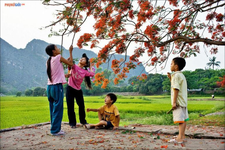 Hình ảnh tuổi thơ – “chiếc vé” giúp bạn trở về quá khứ