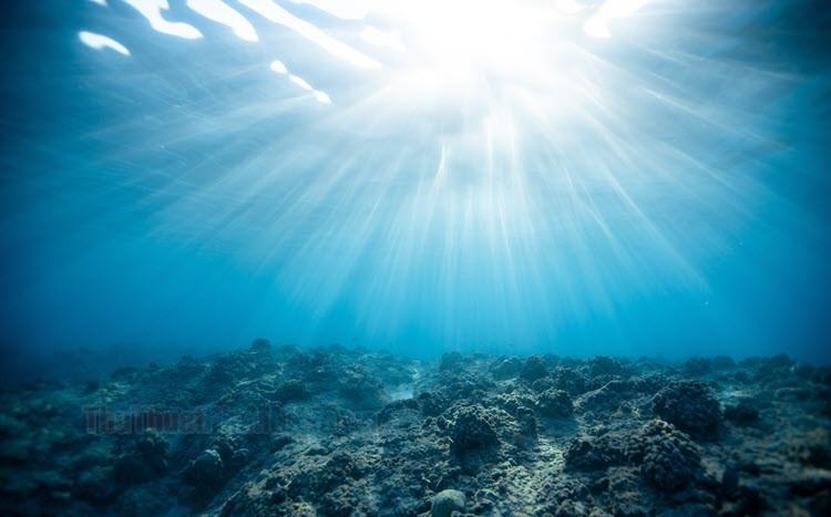 Under Ocean Wallpapers - Top Những Hình Ảnh Đẹp