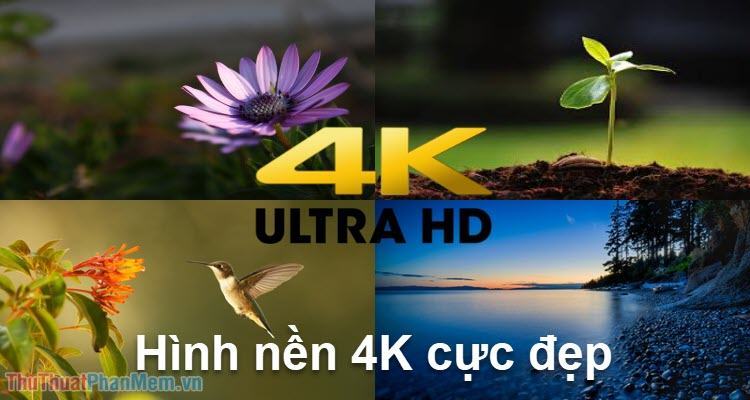 Bộ Sưu Tập Hình Nền 4K Siêu Đẹp  Top 999 Hình Nền 4K Full HD Chất Lượng  Cực Tốt