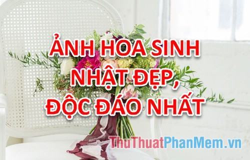 Hoa sinh nhật độc đáo – Tổng hợp ảnh hoa sinh nhất đẹp, độc đáo nhất