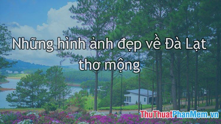 Những hình ảnh đẹp nhất về Đà Lạt đầy thơ mộng và lãng mạn