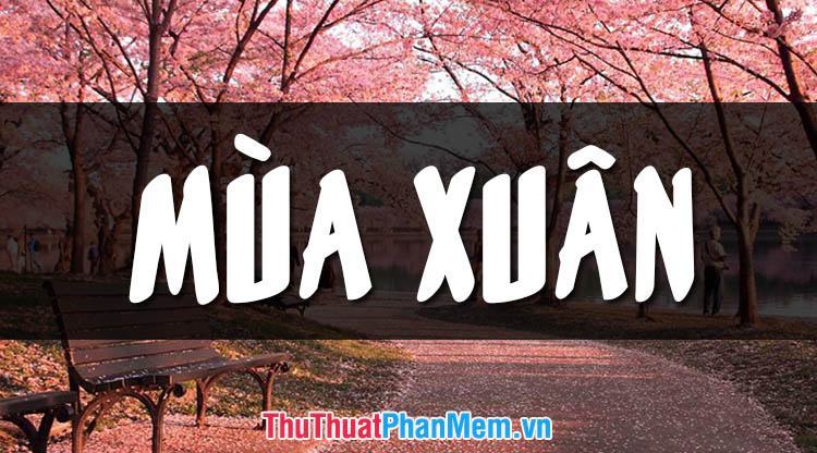 Hình nền mùa xuân tuyệt đẹp