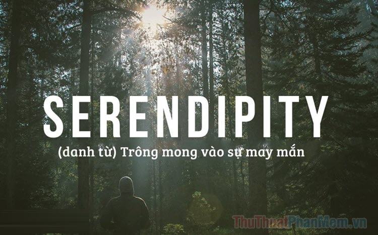 Những từ ngữ đẹp nhất - Trung Tâm Đào Tạo Việt Á