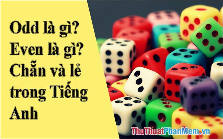 Odd là gì Even là gì? Chẵn và lẻ trong tiếng Anh