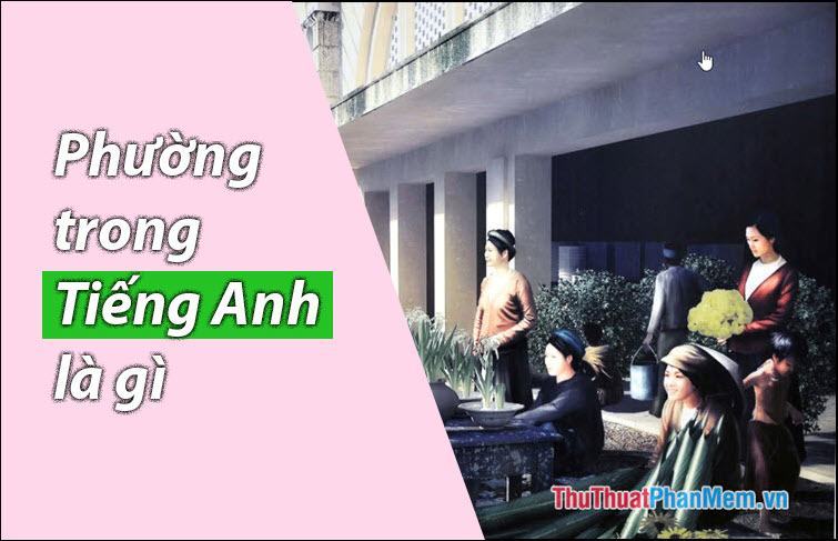 Phường trong tiếng anh là gì