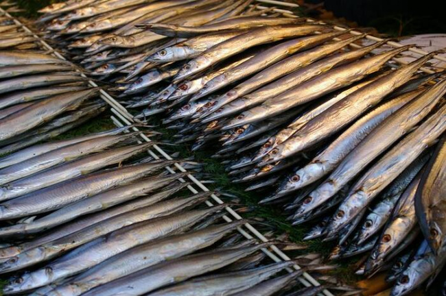 hải sản, nhật bản, sakana no himono – cá khô nhật bản