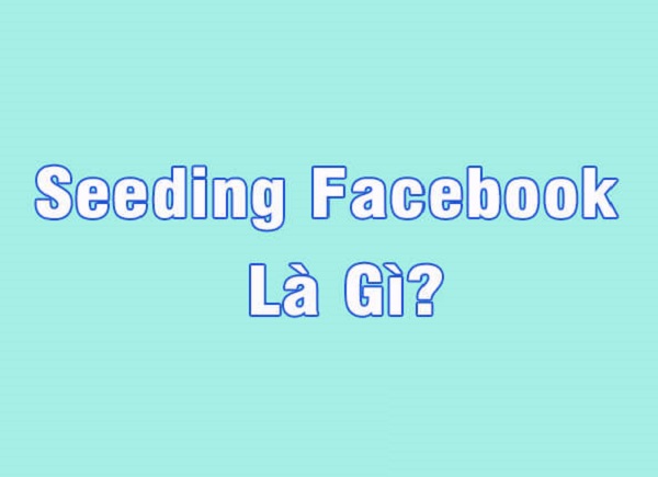 seeding facebook là gì; các bước seeding; kinh nghiệm seeding, kiến thức, marketing, seeding facebook là gì? phân loại và cách seeding facebook hiệu quả
