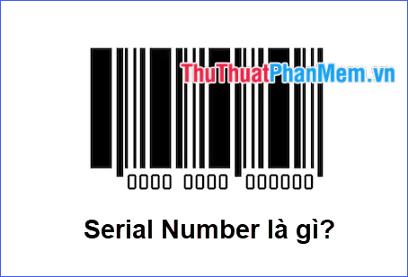 Serial Number là gì?