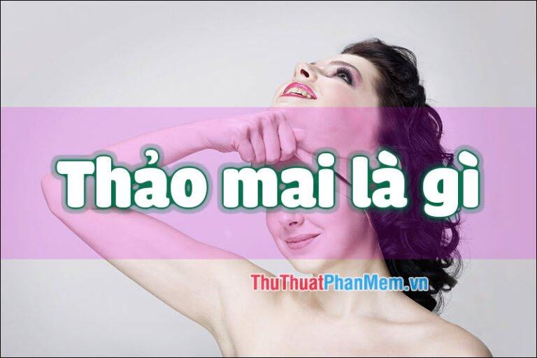 Thảo mai là gì? Thế nào là người thảo mai? Ý nghĩa của từ Thảo mai