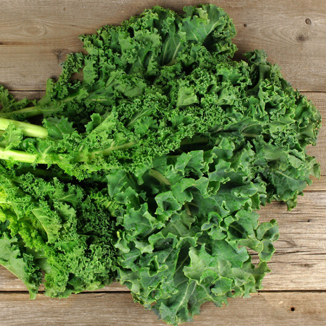 hạt giống rau cải kale, hạt giống rau cải, tìm hiểu về cách gieo trồng hạt giống rau cải kale