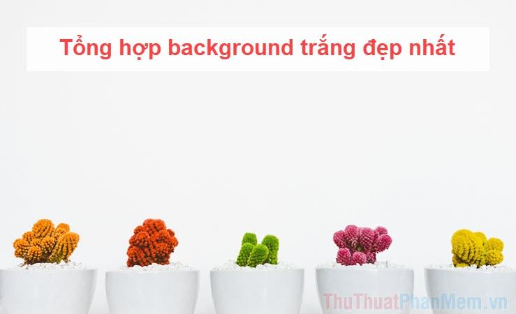 Tổng hợp Background trắng đẹp nhất