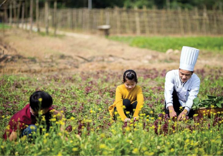 Top 5 Farmstay Gần Sài Gòn Cho Bạn Ngại đi Xa!