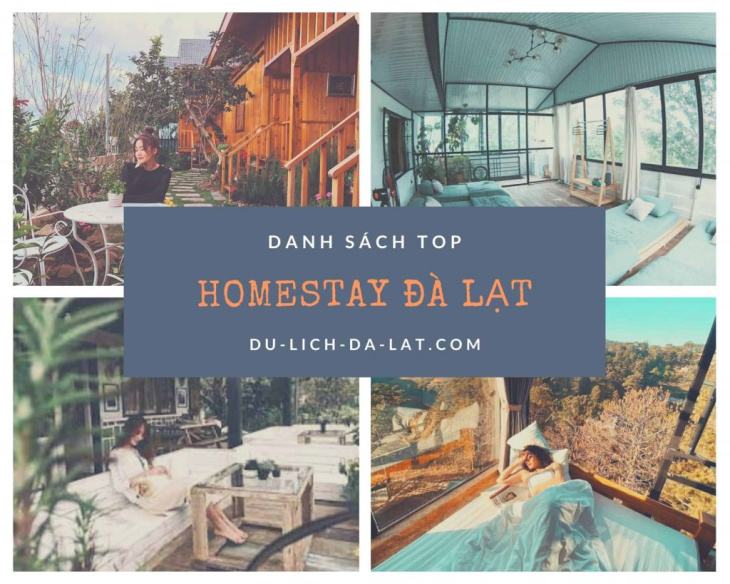 Top 79+ Homestay Đà Lạt Xịn Sò, view đẹp Giá Bình Dân 2023