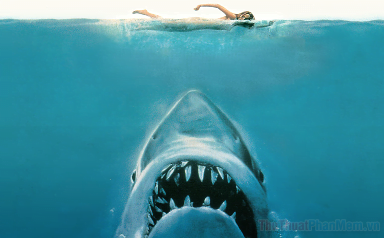 Top phim Cá Mập hay nhất