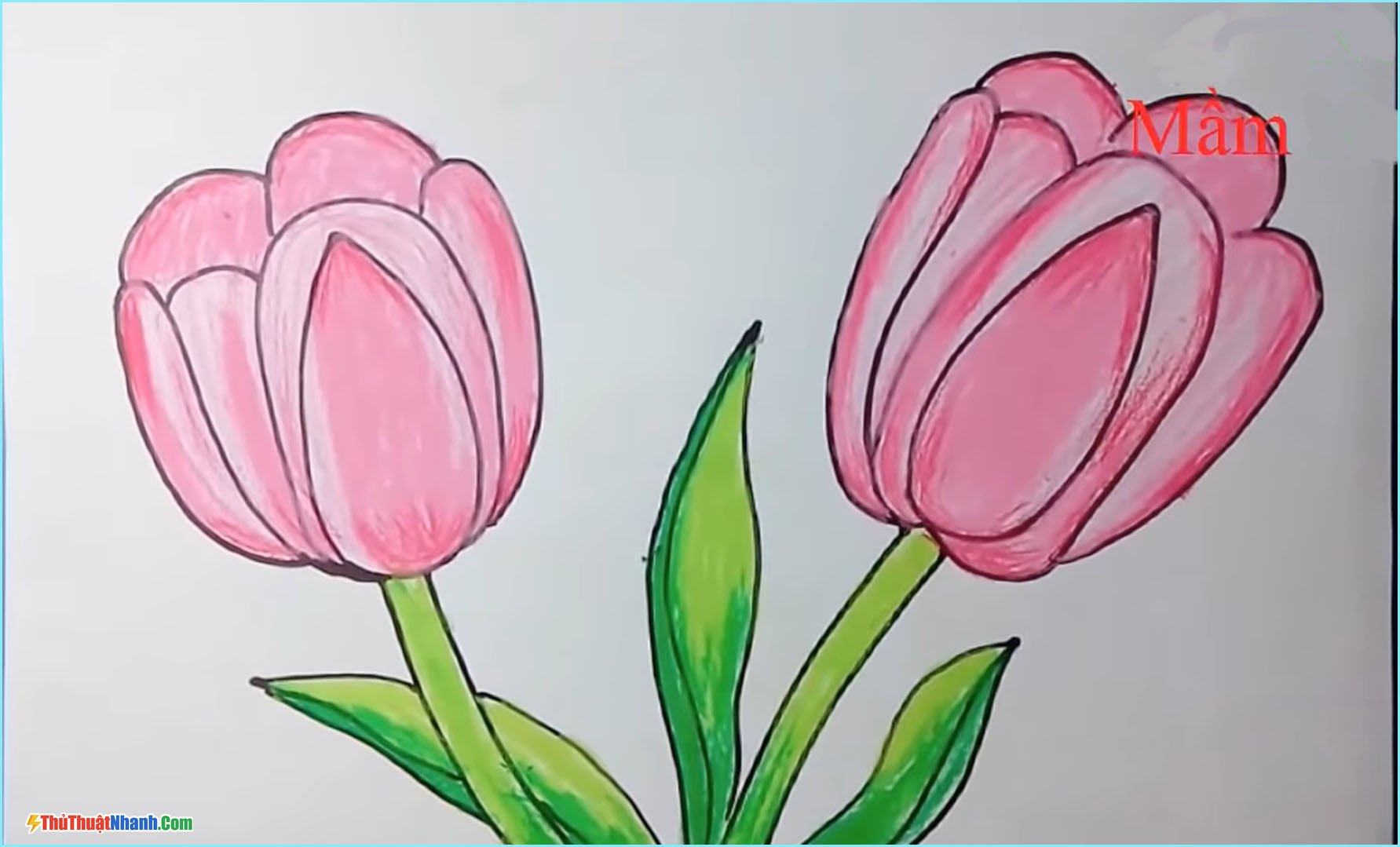 Bộ tranh tô màu hoa tulip cho bé nhiều chủ đề kích thích sáng tạo