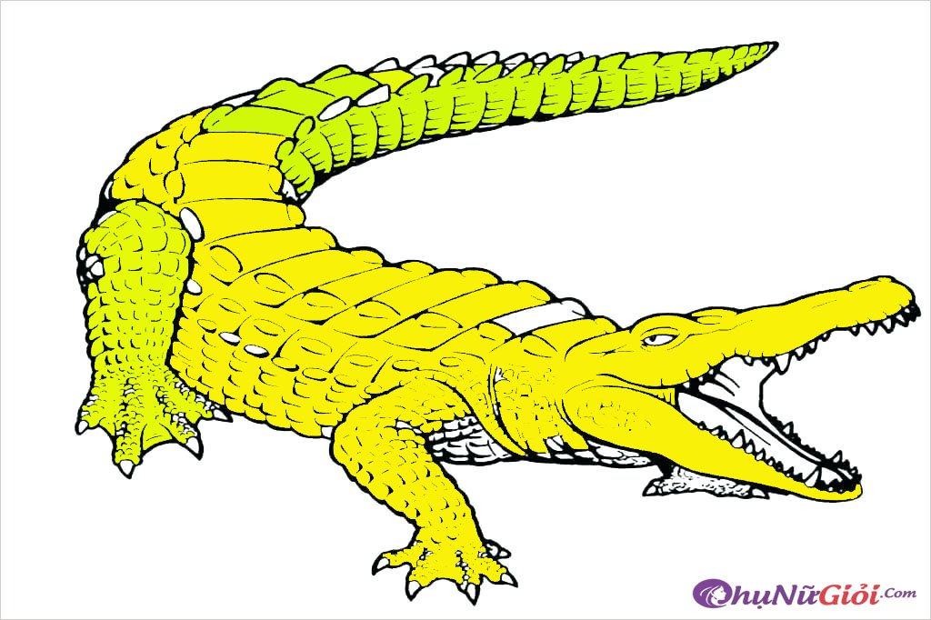 Chi tiết 53 về hình tô màu cá sấu mới nhất  trieuson5