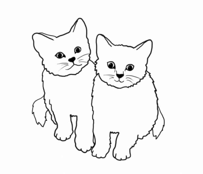 Tranh tô màu hai con mèo đứng cạnh nhau