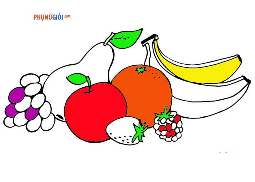 tranh tô màu hoa quả trái cây