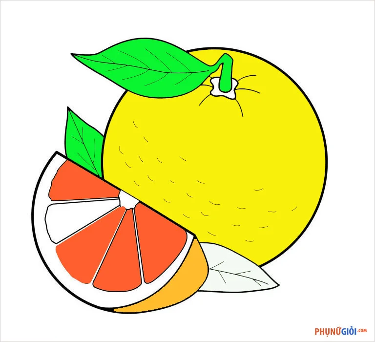68 tranh tô màu quả cam đẹp nhất dễ tải dễ in Update 2023