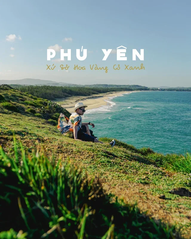 traveling to phu yen - the land of yellow flowers on green grass