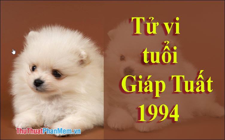 Tuổi 1994 mệnh gì? Tuổi con gì? Hợp màu gì, Hợp tuổi nào, hướng nào?