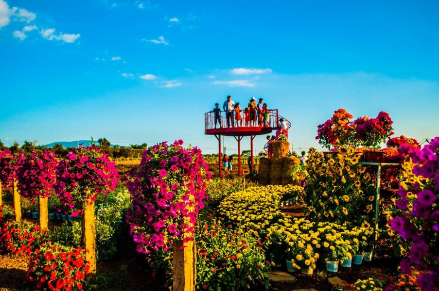 Vườn hoa Bốn Mùa – Điểm đến mới tại Đồng Nai