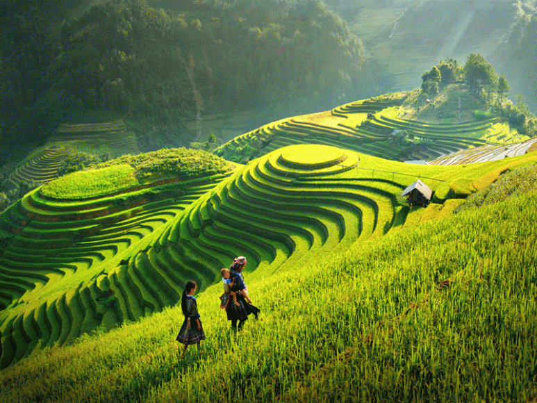 Hình ảnh đẹp về quê hương Việt Nam